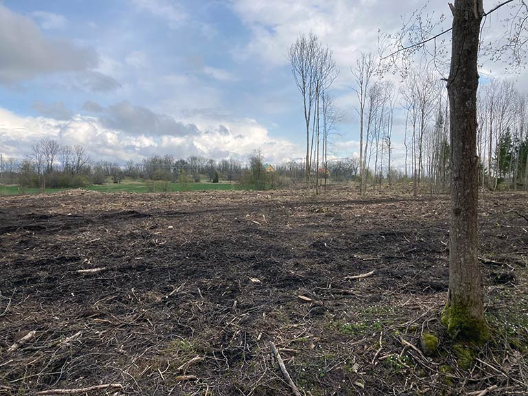 Ängsmark efter stubbrytning och fräsning