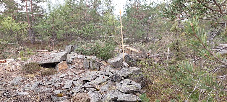 Skötselområde för hasselsnok i Strömstads kommun